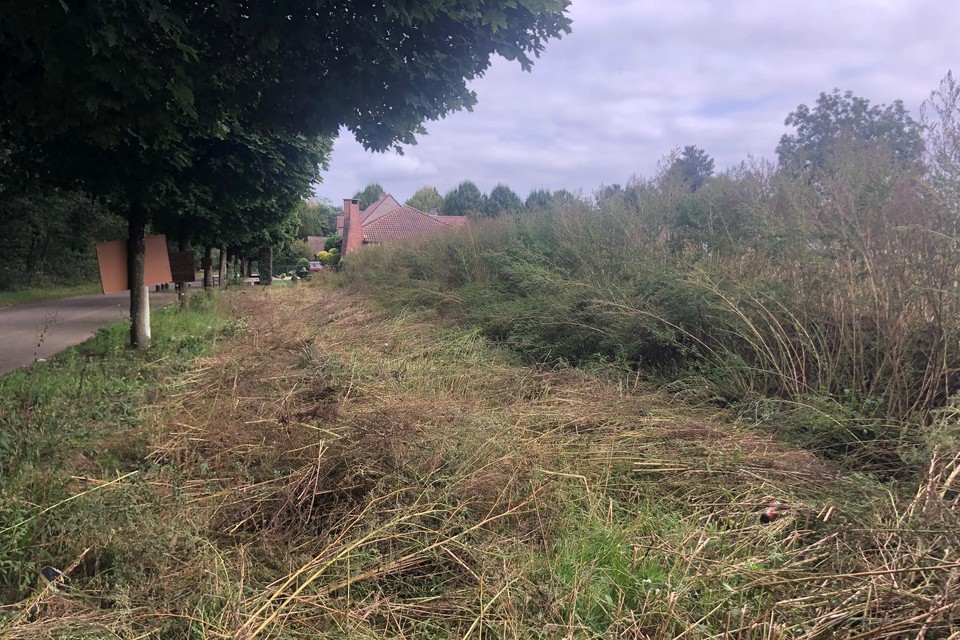 Woensdagochtend werd een strook gemaaid.