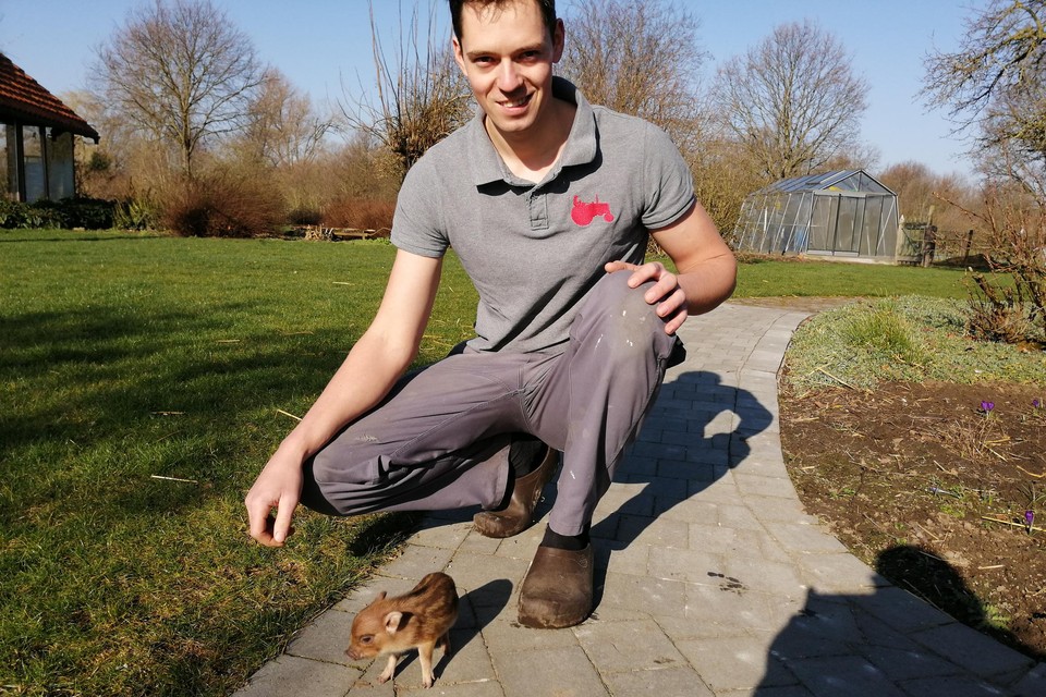 David met een van zijn jonge aanwinsten.