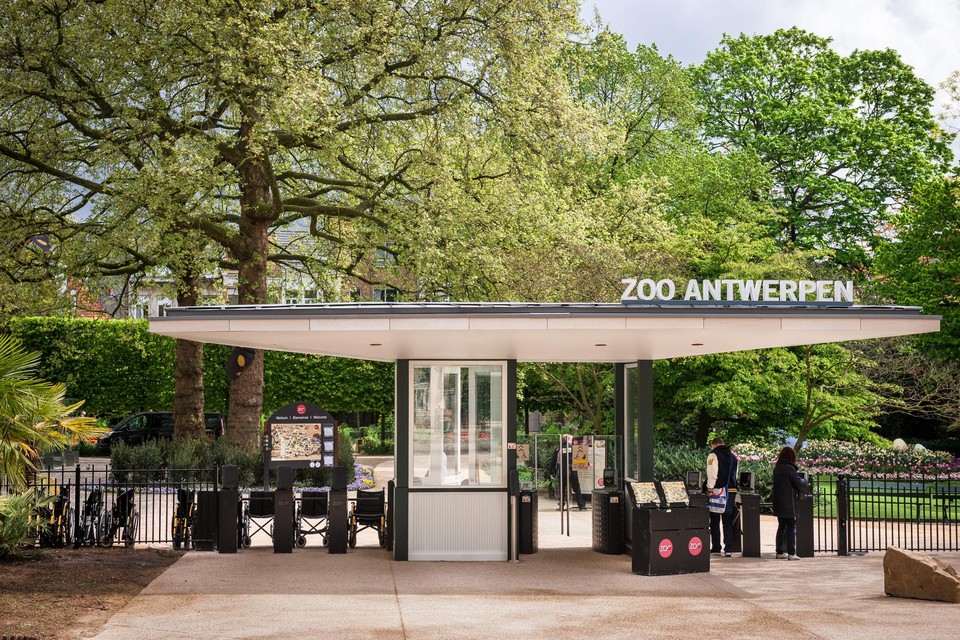 Er is jaar bijna de helft minder volk op bezoek geweest in de Antwerpse Zoo en Planckedael. 