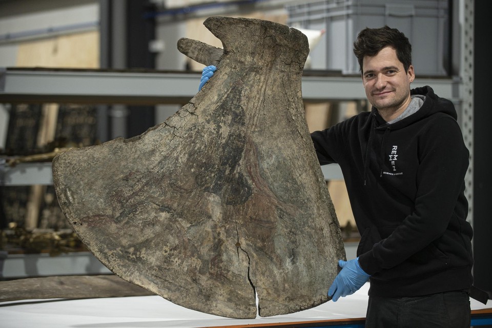 Martijn Remmen bij het schouderblad van de walvis.