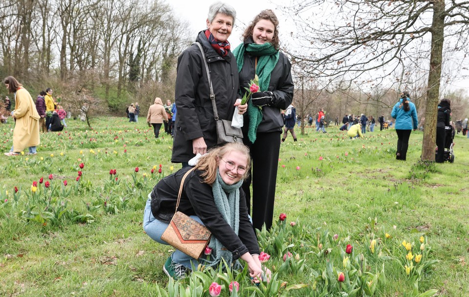 Ook polderbewoners knippen tien tulpen.