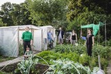 thumbnail: Sarah en Staf, Jeroen, Bram, Heleen en Goele.