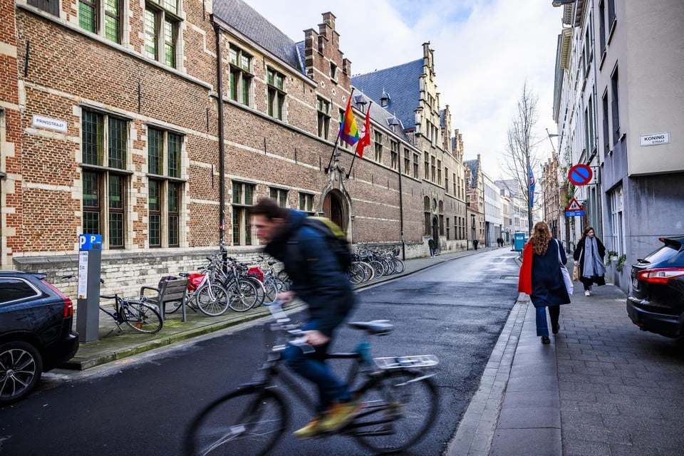 De Prinsstraat, in hartje studentenwijk, is een belangrijke verbinding voor voetgangers, fietsers, schoolgaande kinderen en studenten. 