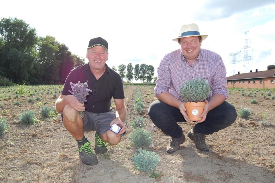 Tom en Bart op hun nieuwste veld in Bazel met de eerste producten van Lavender Your Life.