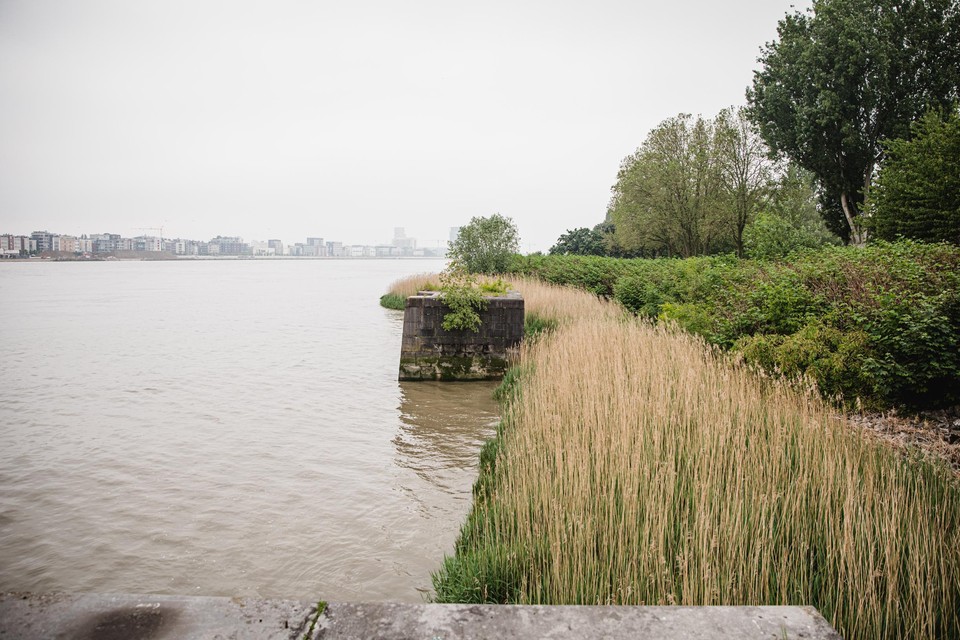 Het Masterplan voorziet in een herinrichting over zes kilometer Scheldeboord op Linkeroever. 