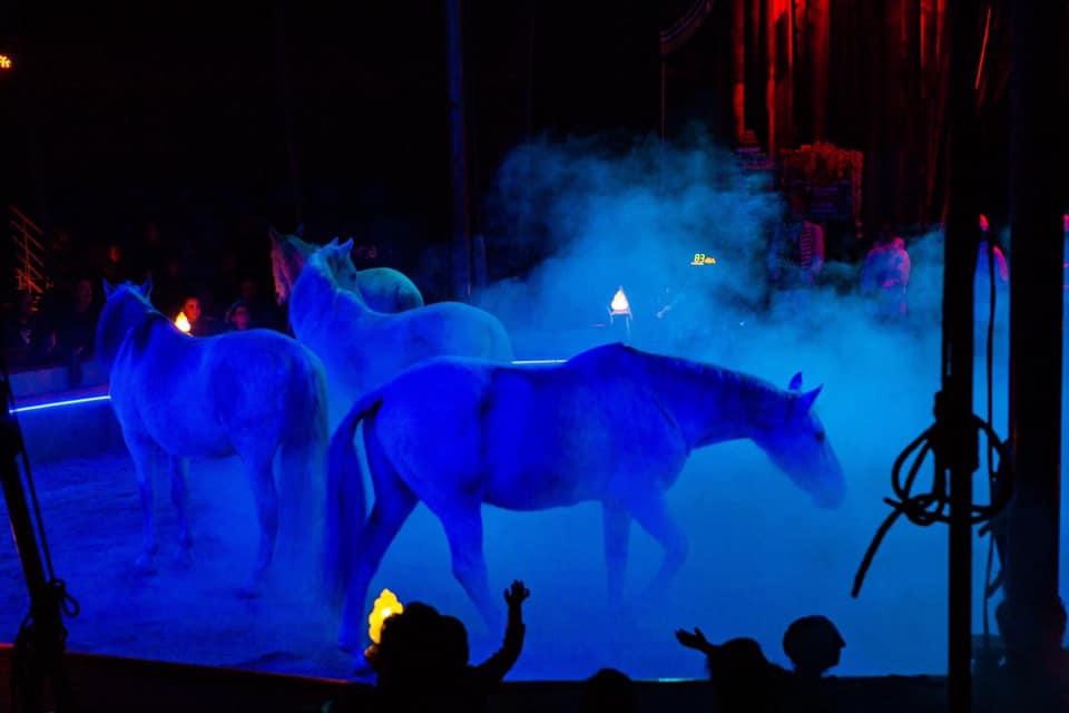 Beelden van vroegere shows.