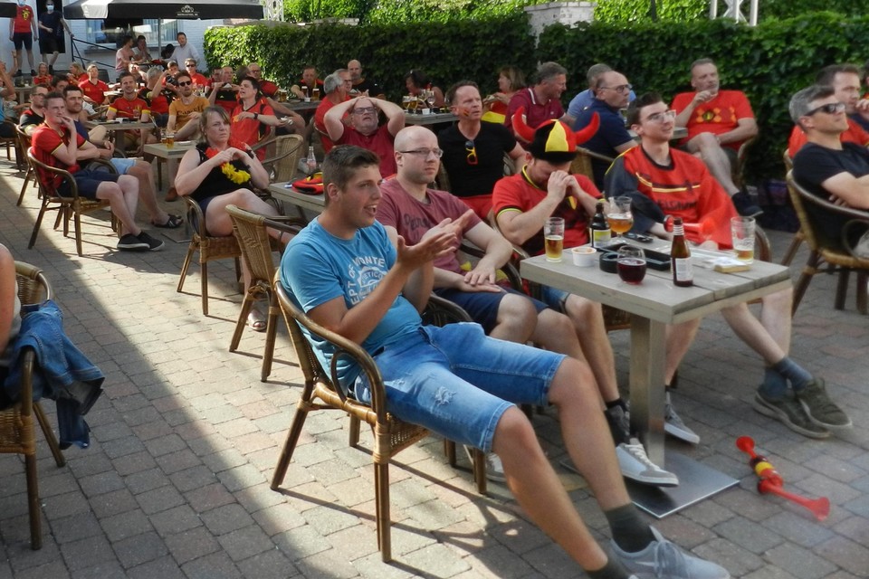 Vertwijfeling na de vroege goal van Denemarken.