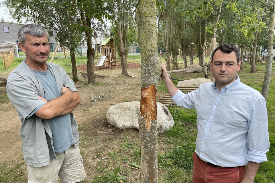 Schepen Jeroen Vandromme (rechts) en Rudi Vandewiele bij de gestripte boom in de nieuwe speelzone. 