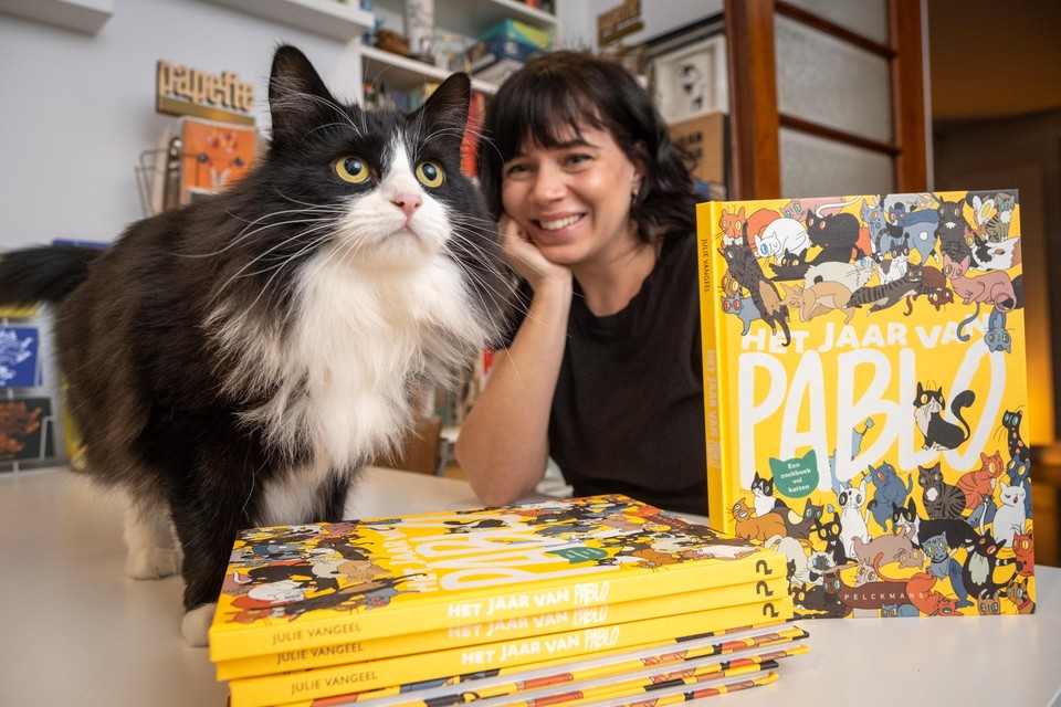 De guitige Pablo inspireerde baasje en illustratrice Julie Vangeel tot een zoekboek met haar kat in de hoofdrol.