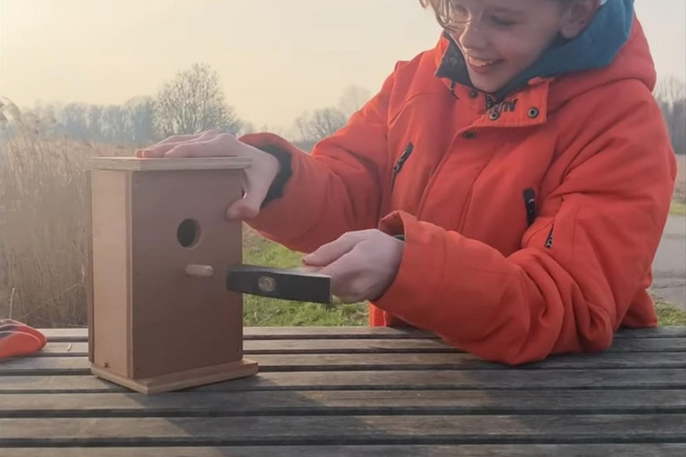 Natuurpunt wil via crowdfunding centen inzamelen om de nestkastjes te bouwen en er een camera in te hangen.