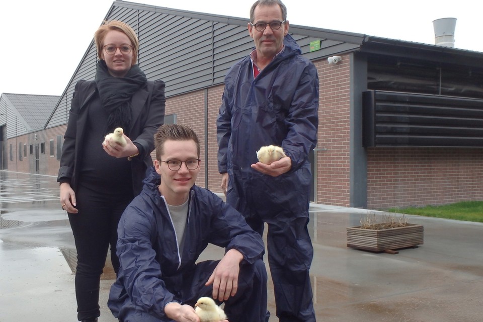 Lotte, Rens en Ton Van Bijsterveldt willen in hun stal in Poppel hetzelfde doen als in hun kwekerij in Weelde: vleeskuikentjes grootbrengen met veel liefde. 
