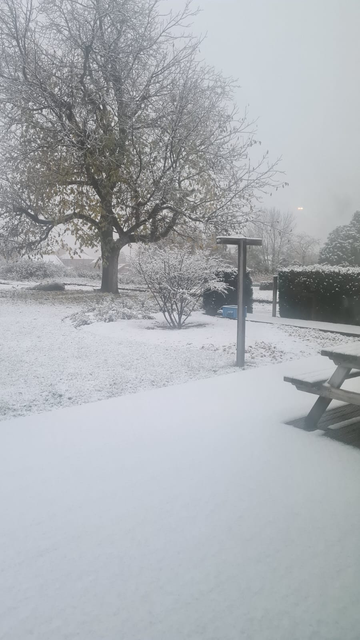 Dit sneeuwtapijt werd gefotografeerd in het Limburgse Heers. 