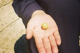 thumbnail: null