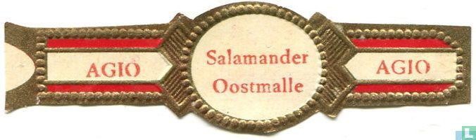 Een sigarenbandje van bierhal Salamander.