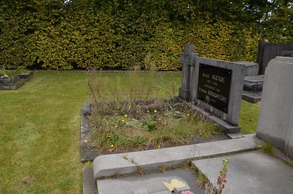 Vraag is of er veel interesse zal zijn. Open Vld en raadslid Lode Hofmans zien weinig tot geen meerwaarde in het reglement.