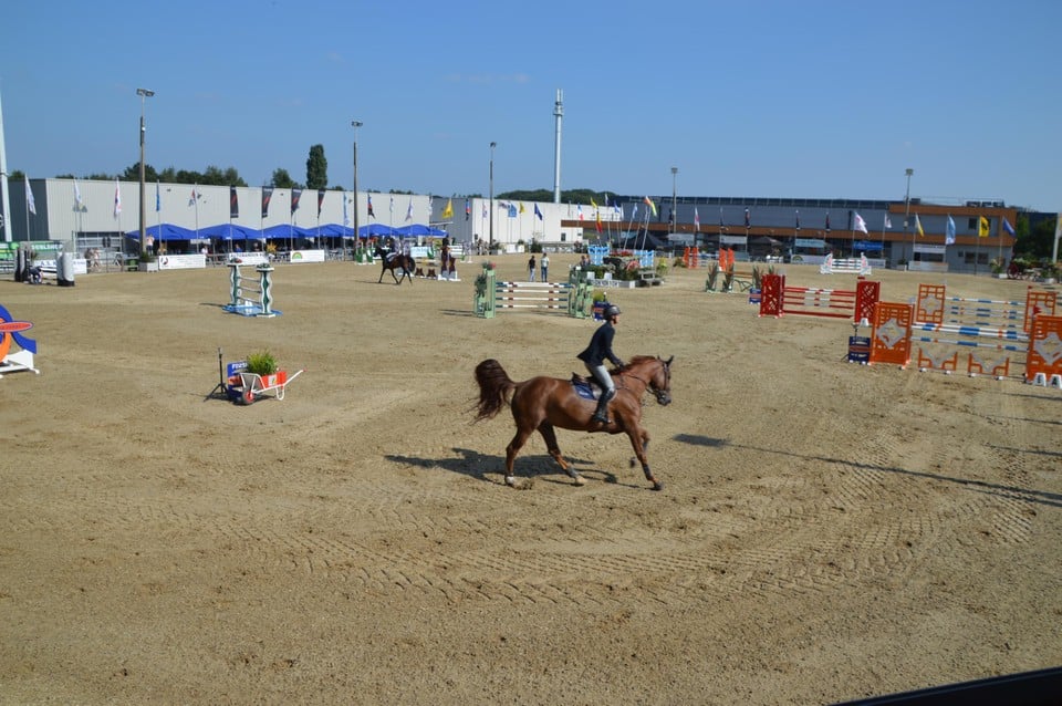Jumping Zandhoven 2021.