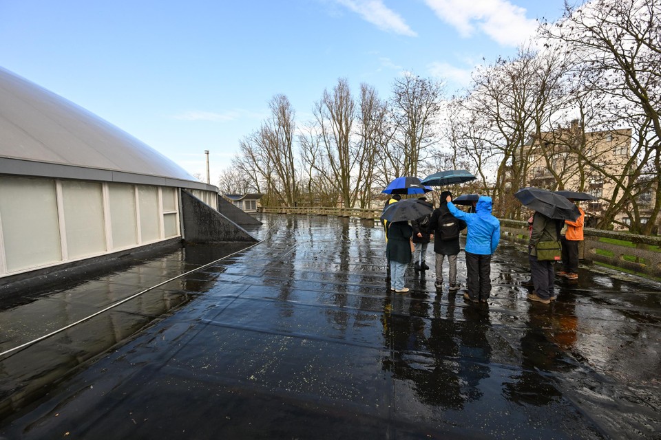 De buurtbewoners op het dak van de Arenahal. Hier zouden ze graag een samentuin realiseren voor de wijk.