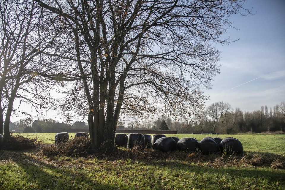 De Aa-vallei in Schorvoort.