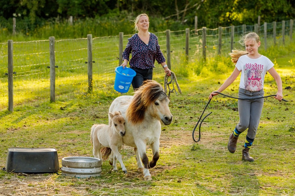 Sandy Costanzo en haar dochter Silke Buren willen alleen het beste voor hun pony’s.