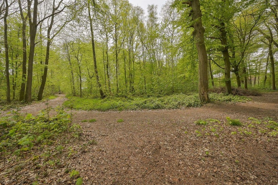 Een deel van Montens Bos staat te koop.