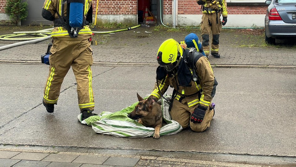 De hond werd gered en krijgt zuurstof toegediend.