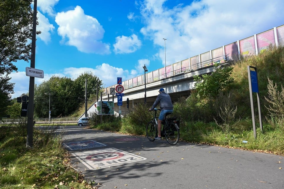 Deze fietser zal in mei volgend jaar via een nieuwe fietsersbrug naast de bestaande snelwegbrug de Ruggeveldlaan kunnen oversteken.