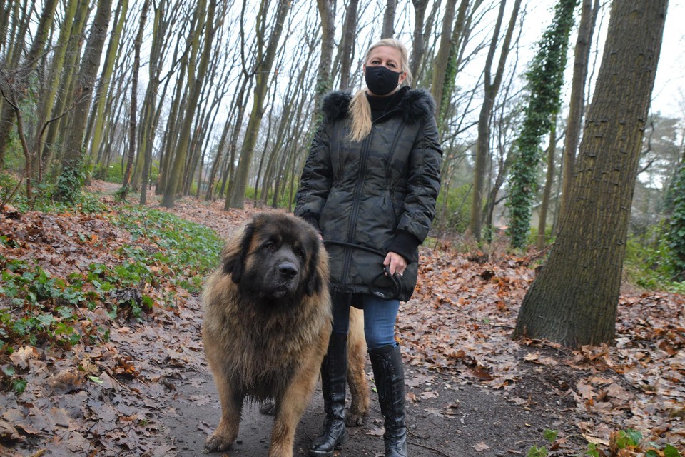 Onafhankelijk schepen Cindy Van Paesschen met haar leonberger Bentley.