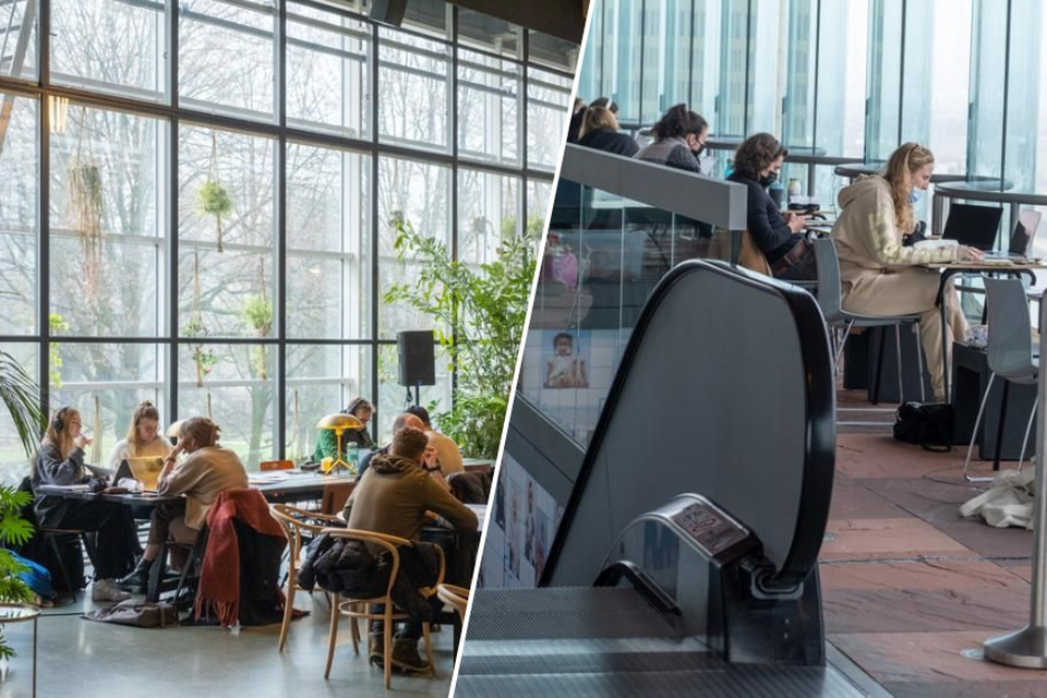 Studeren kan dit jaar onder meer bij Fosbury & Sons en in het MAS.