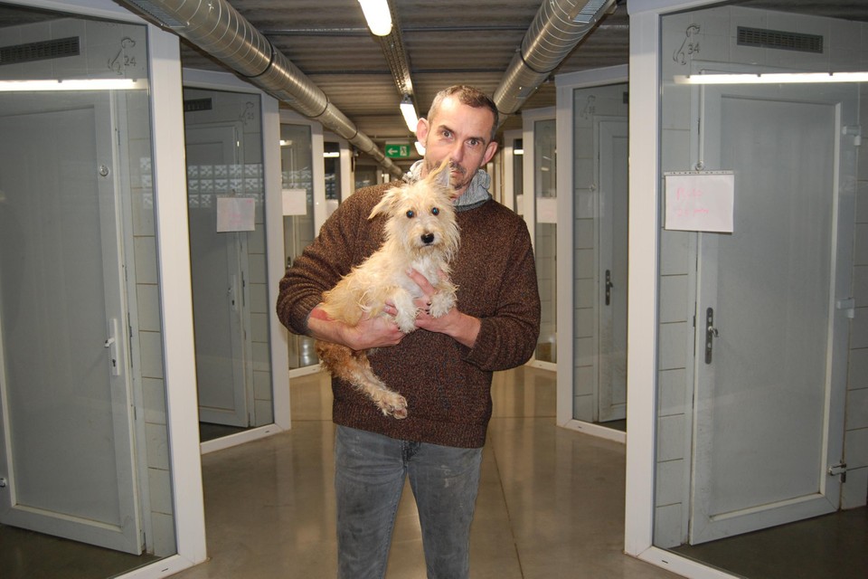 Assistent Kris met een van de verlamde honden die nu wordt opgevangen in Dierencentrum Waasland. 