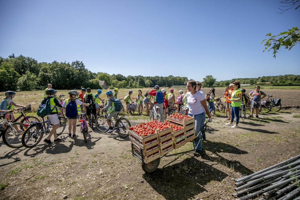 Kinderen arriveren bij aardbeienbedrijf Op’t Veld.