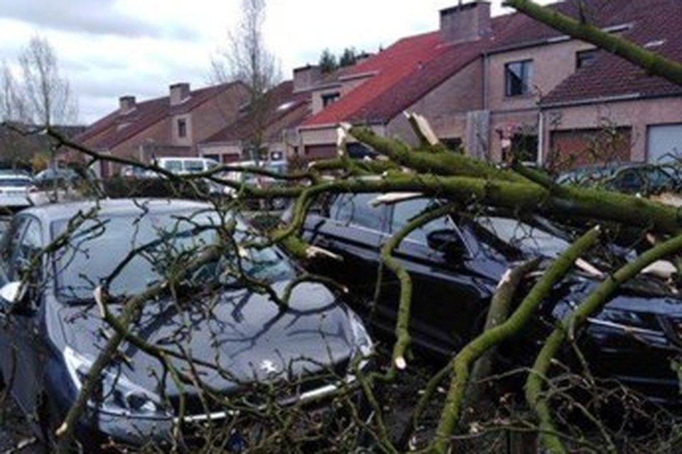 In De Linden vielen takken op een auto.