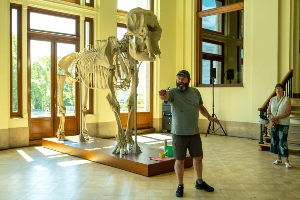 Frank toont het skelet van Jacqueline, de eerste olifant die in de Zoo woonde. Hij vertelt erbij hoe de toenmalige directeur Jacqueline in 1952 zelf van de boot ging halen in de haven en er te voet mee naar de Zoo stapte.  