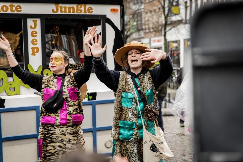 De carnavalsstoet in Mechelen.