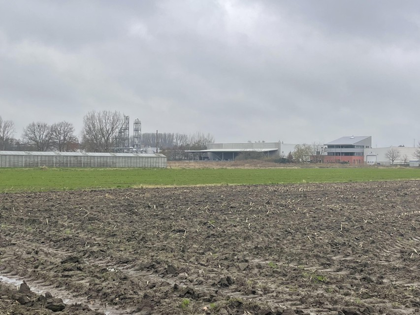 De landbouwgronden in de Langveldstraat grenzen aan de achterkant van het Industriepark. 