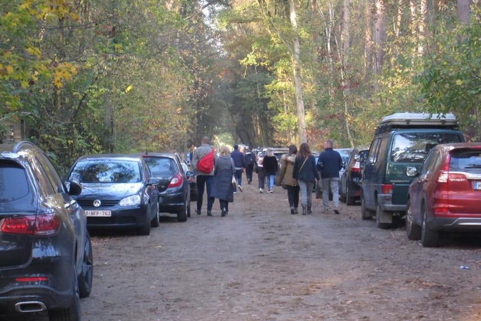 Geparkeerde auto’s in de Boskant in Pulderbos vlakbij het vertrekpunt van het Lovenhoekpad op de zonnige zaterdag 7 november.