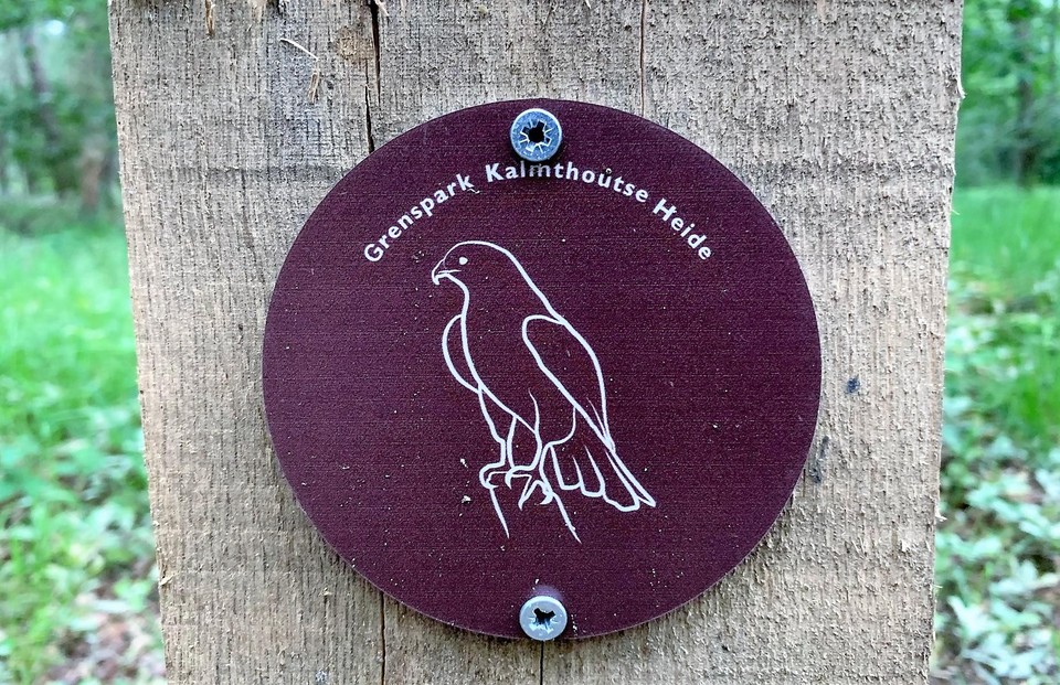 De Buizerd evdw