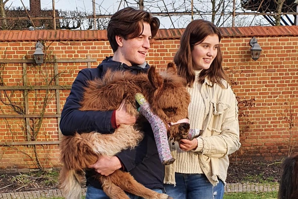 Mirten en Noah met Ponkey, die haar voorbeentjes in gips had na een operatie.