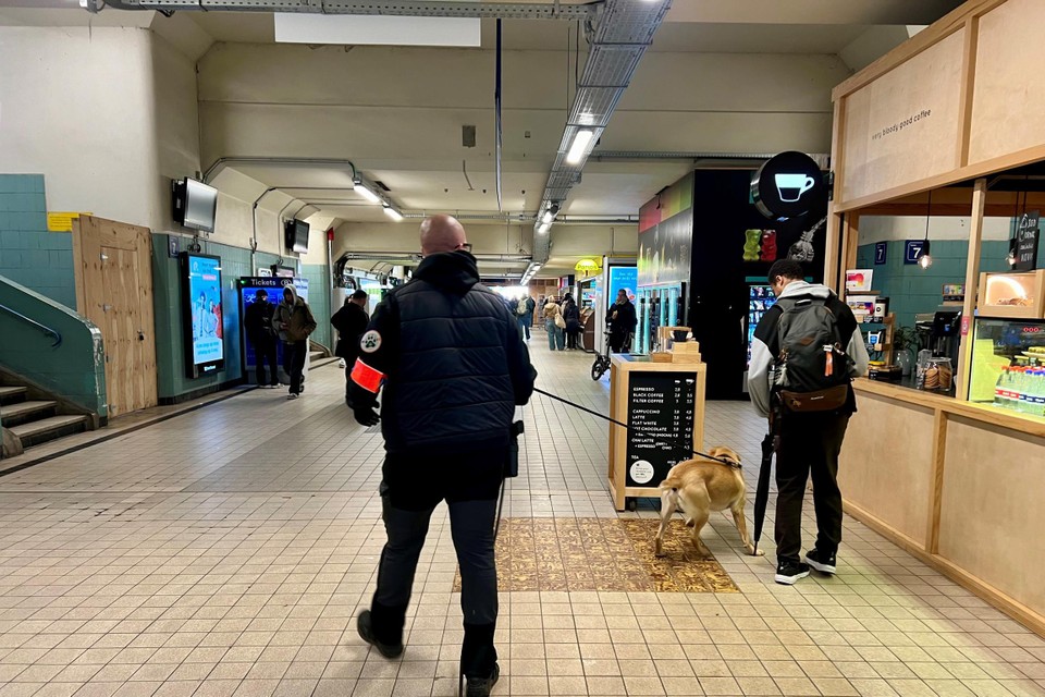 Een drugshond van de federale politie werd onder meer in het station van Mechelen ingezet.