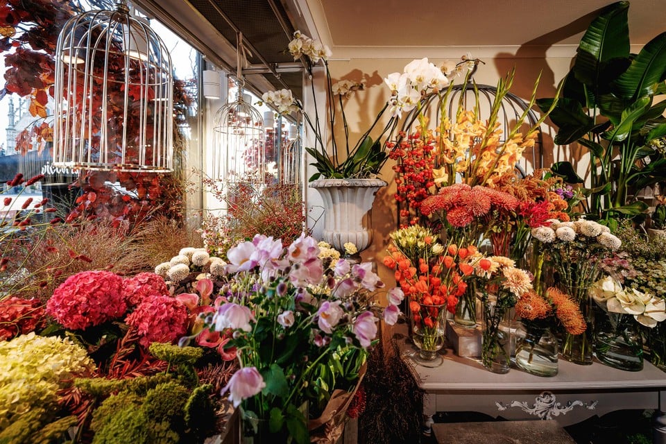 Het winkeltje staat volgestouwd met bloemen, planten en geschenken.