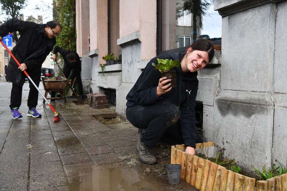 In Borgerhout brak Martha zaterdag tegels uit om bloemen te planten.
