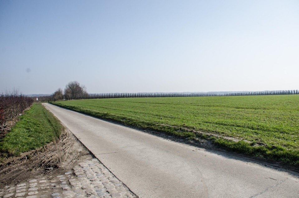 Elke landbouwgrond moet volgens Boerenbond als bewerkt worden beschouwd. 