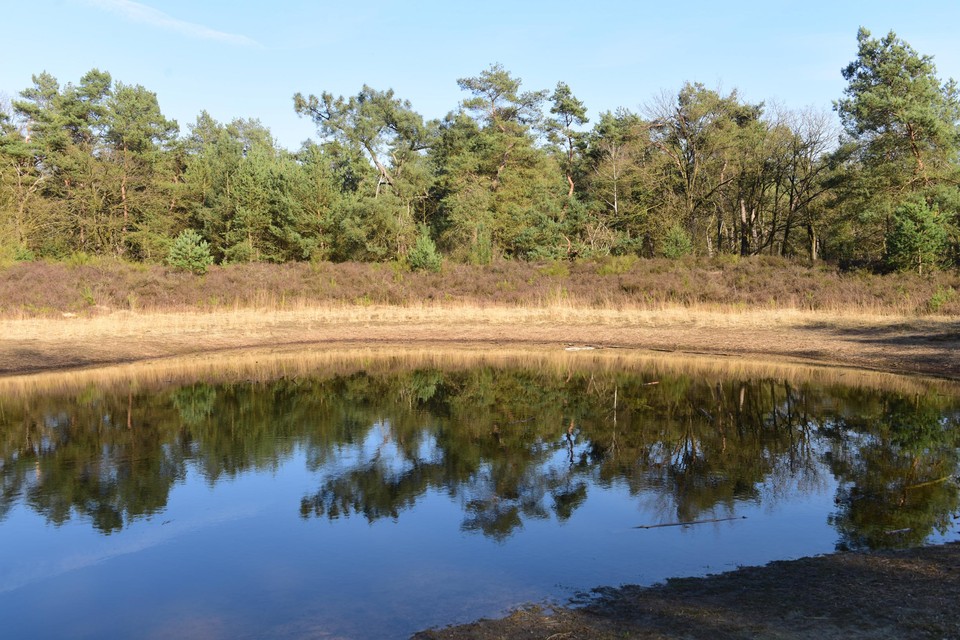 Natuurgebied De Liereman.