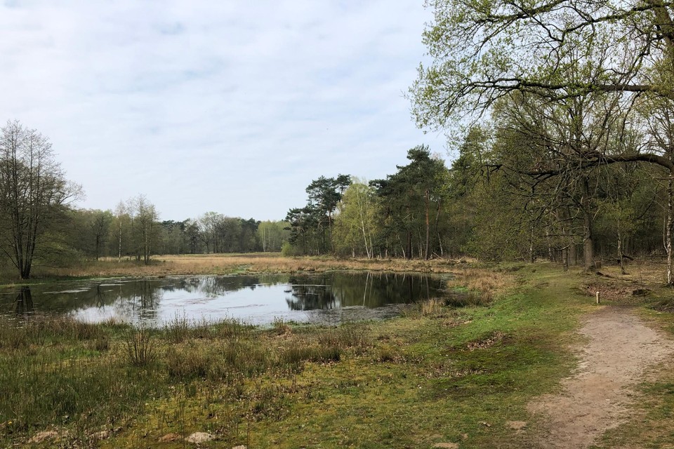 Een heidecorridor tussen Duivelskuil en Eksterheide zorgt voor een ecologische verbinding tussen de twee natuurgebieden in Beerse.