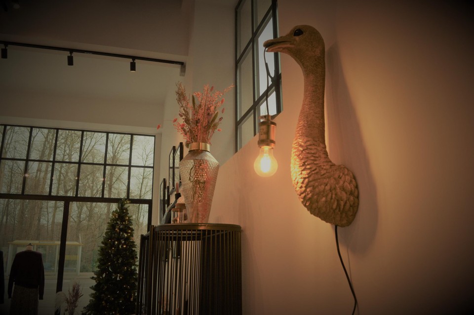 Een lamp met een struisvogelkop.