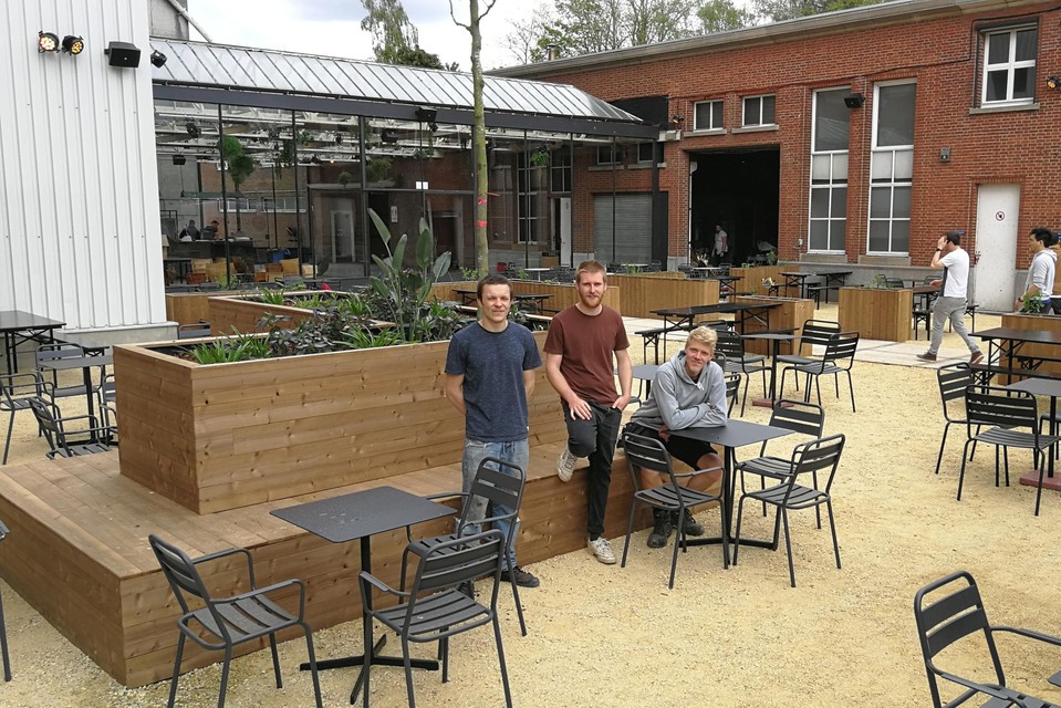 Zander Pelgroms, Bastiaan Quets en Mathias Vanuytsel zijn het Geelse trio achter De Bloemfabriek, hun Turnhoutse partners ontbreken op de foto.