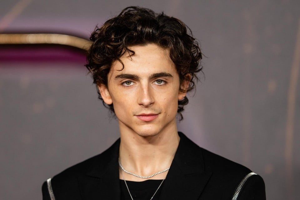Timothée Chalamet