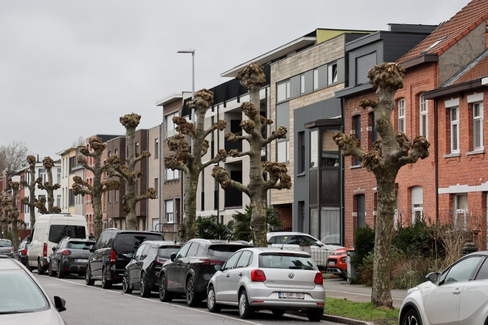 Met de Deuzeld-cheque wil Vlaams Belang wonen in eigen gemeente stimuleren. “Mensen die vluchten uit de stad kopen nu alles op”, aldus Van Grieken.