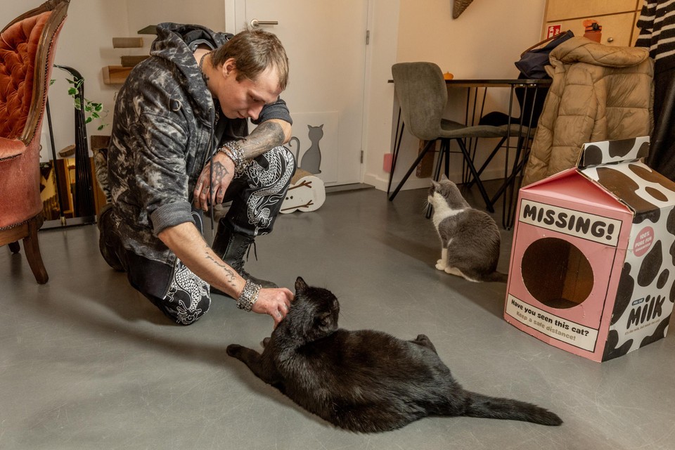 De grootste kat van Lierse Aaikes: Raven.