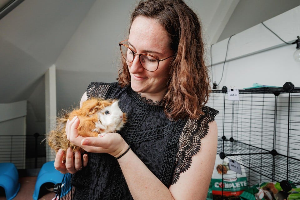 Aurelie wil met Cavy Opvang de oprichting van een asiel bekostigen.