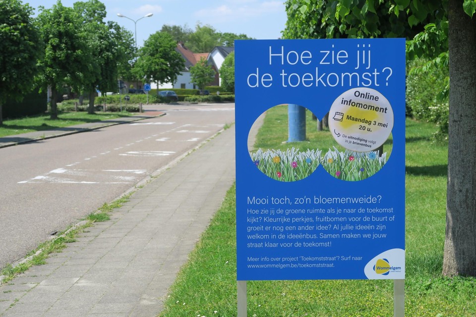 De Ternesselei: voor een betere toekomst moeten hier en in de Dasstraat 63 bomen worden gekapt.